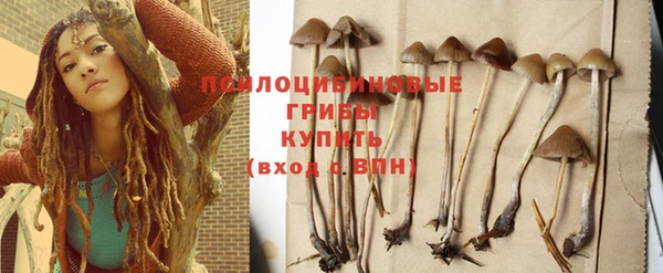 гашик Белоозёрский