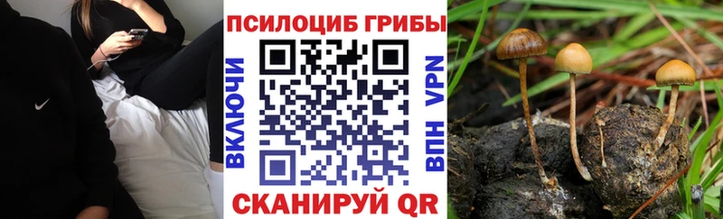 Псилоцибиновые грибы MAGIC MUSHROOMS  Надым 